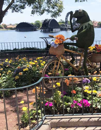 Kermit Topiary on a bike in a garden in Walk Disney World